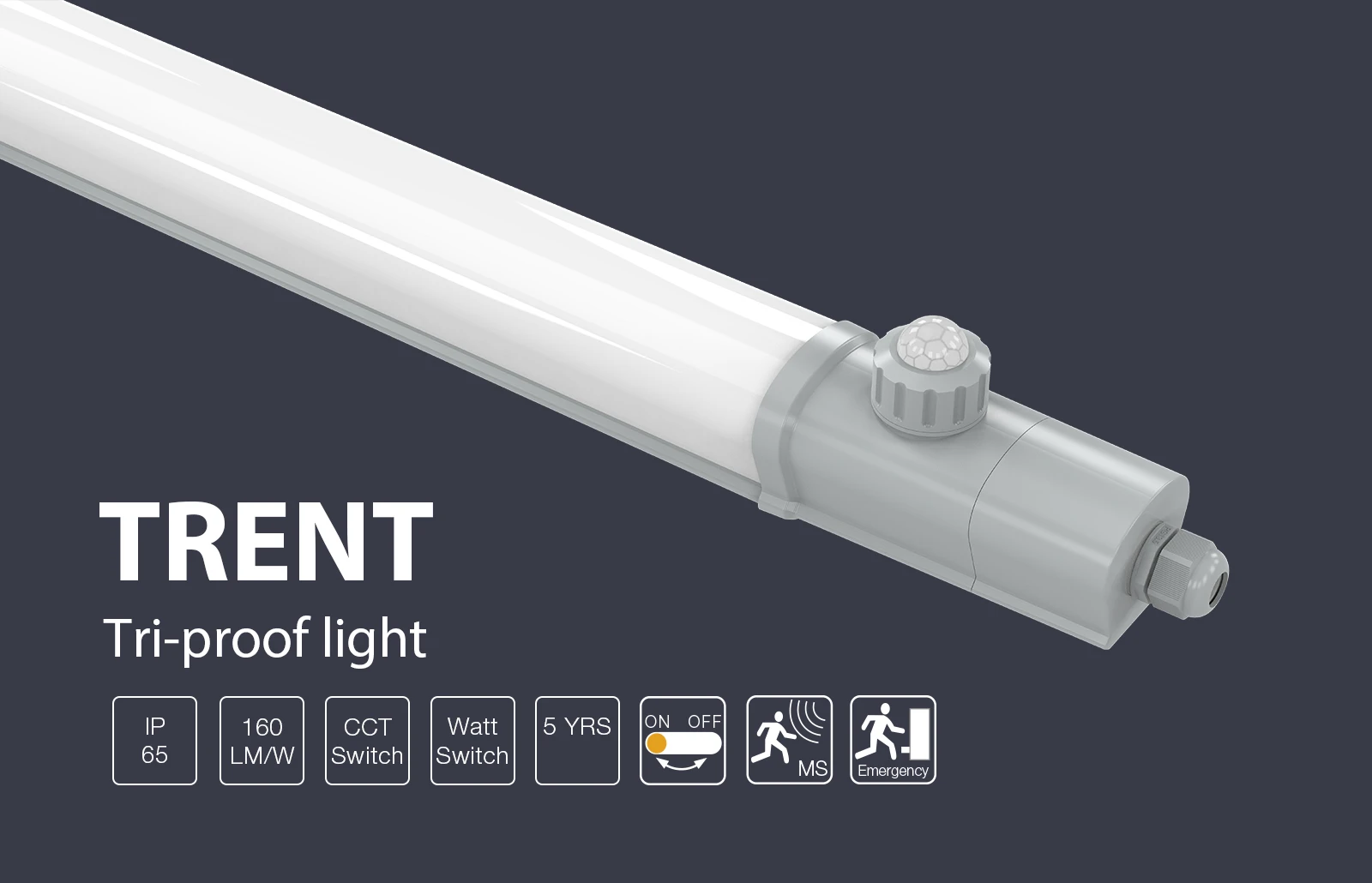 Trent-triproof-light01 Trent-triproof-light01